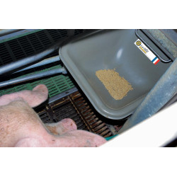 Individueller Trog mit Rand Für Schweine
