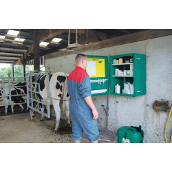 Wandarzneischrank Wandarzneischrank