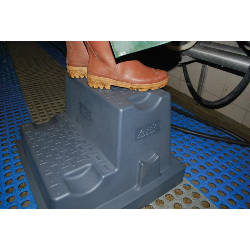 2–Stufen Stufenleiter