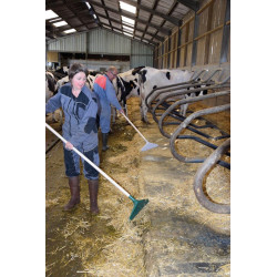 STANDARD Kotschieber