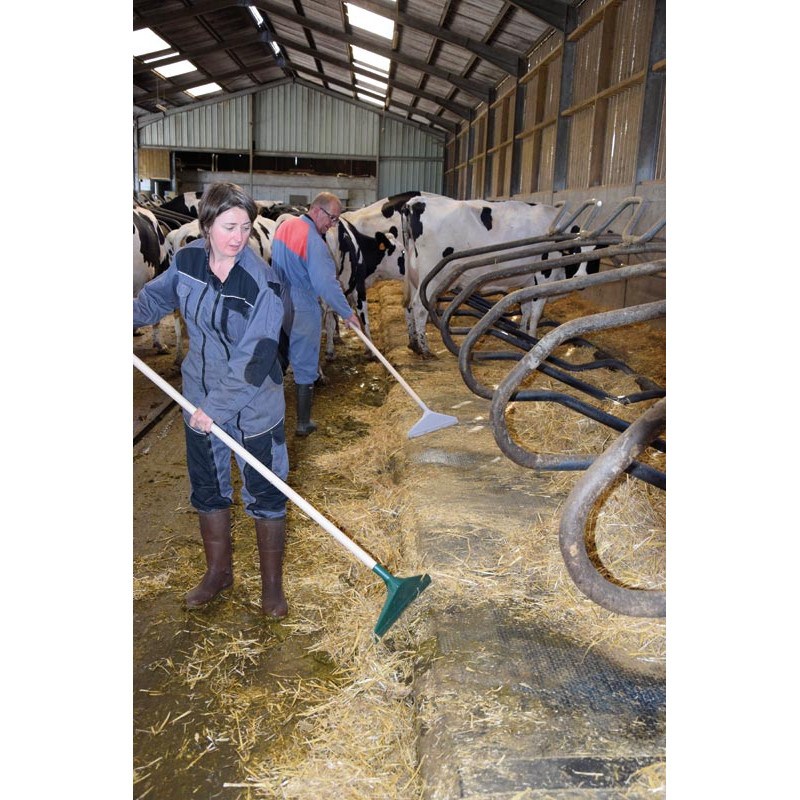 STANDARD Kotschieber