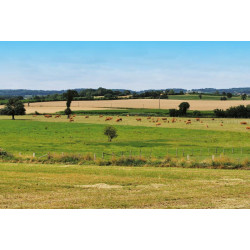 5000 l rechteckiger Monoblocktank 5000 l rechteckiger Monoblocktank