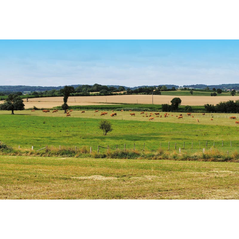 5000 l rechteckiger Monoblocktank 5000 l rechteckiger Monoblocktank