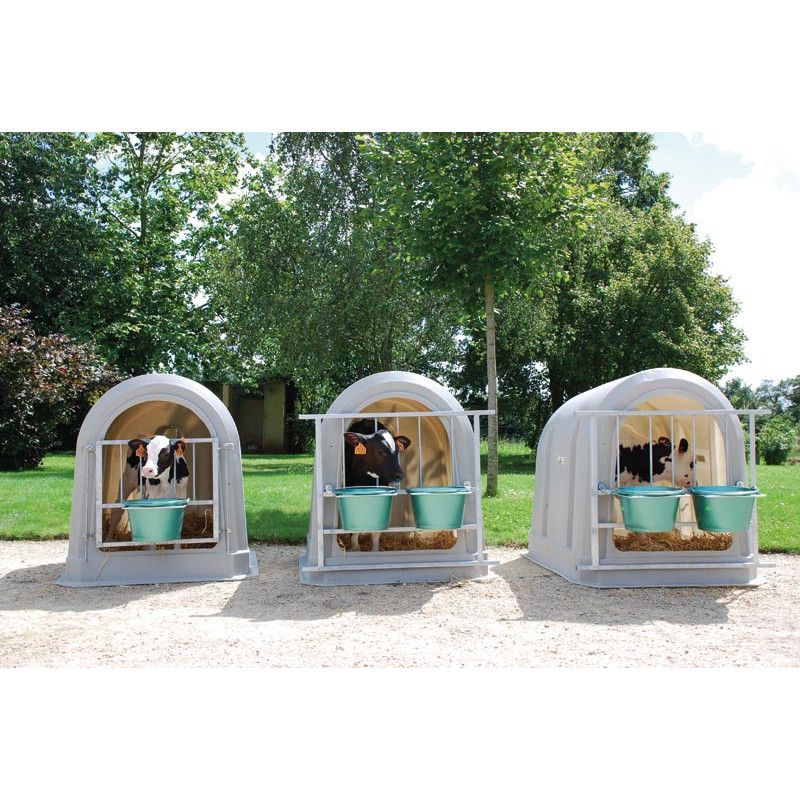 Standard MA Kälberiglu