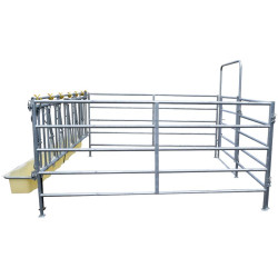 Gruppeniglu mit Umzäunung