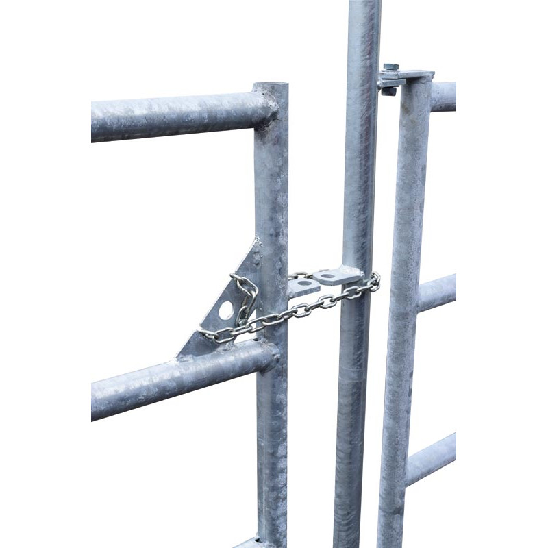 Gruppeniglu mit Umzäunung