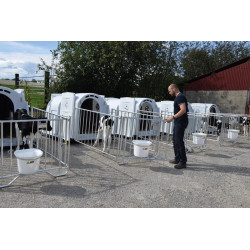 XXL Kälberiglu Komfortpaket, mit Spaltenboden