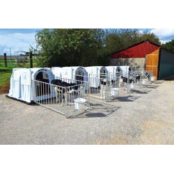 XXL Kälberiglu Komfortpaket, mit Spaltenboden