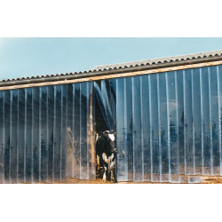 PVC-Streifenvorhänge - Breite 20 cm PVC-Streifenvorhänge - Breite 20 cm