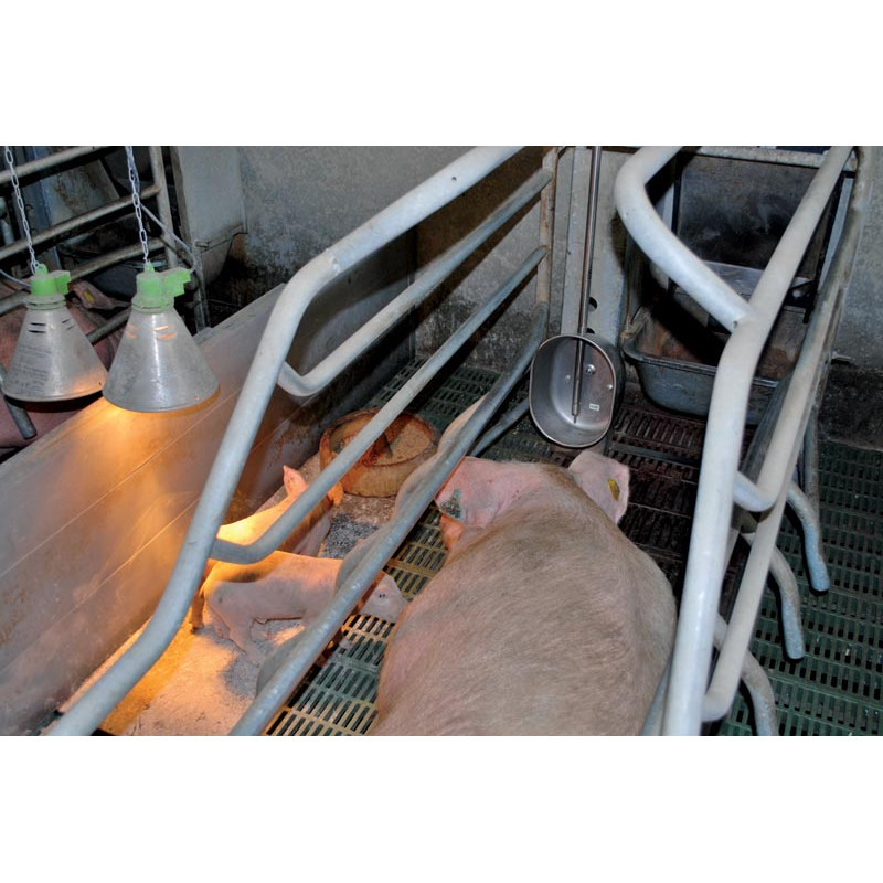 POLYPORC Tränke für Ferkel