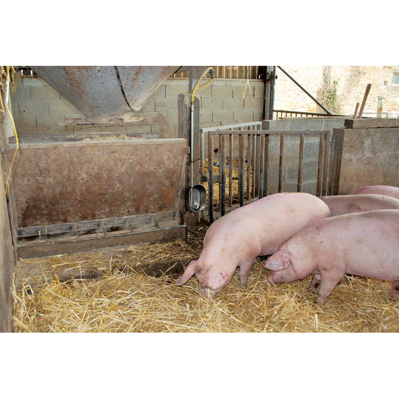 POLYPORC Tränke für Mast 