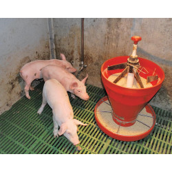 Beißnippel für Schweine „Absetzer“