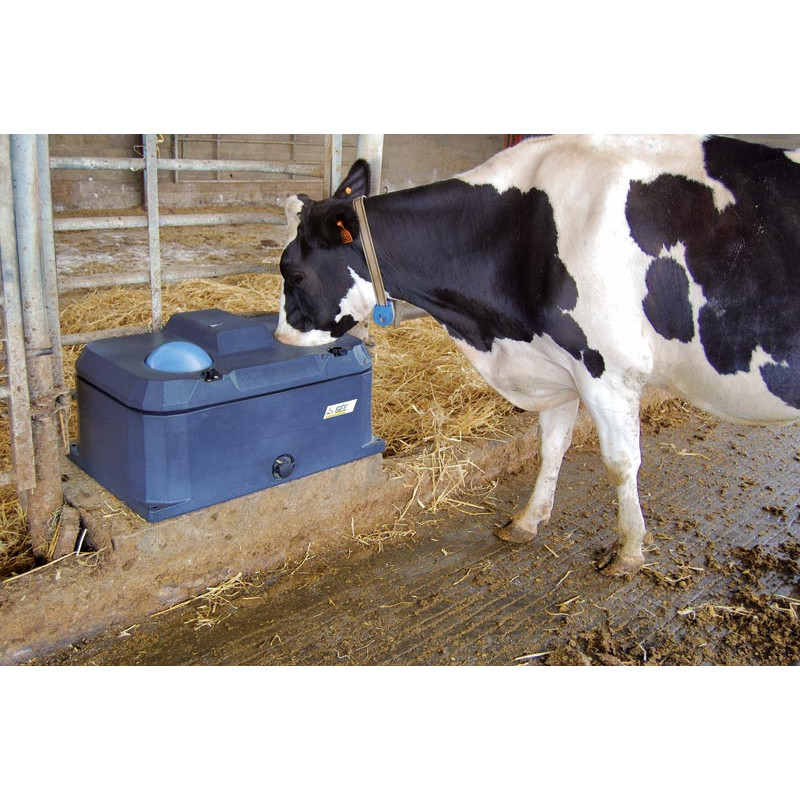 POLYTHERME Tränke mit 2 Bällen