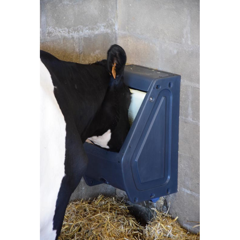 Einfache POLYFLAP Tränke