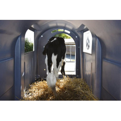 XL Kälberiglu Komfortpaket 