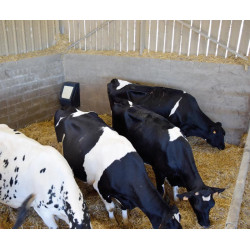 Einfache POLYFLAP Tränke Einfache POLYFLAP Tränke