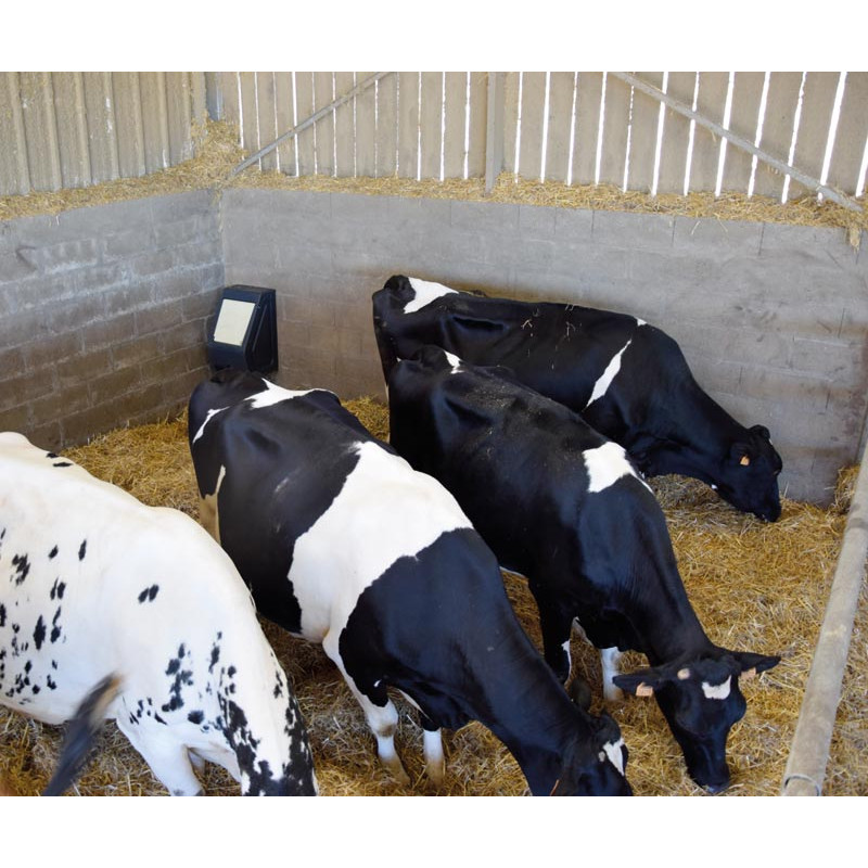 Einfache POLYFLAP Tränke Einfache POLYFLAP Tränke