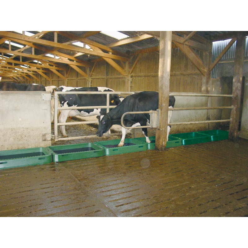 Modulare Klauenwanne für Rinder. Modulare Klauenwanne für Rinder.