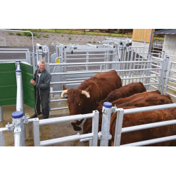 „SECURIPASS“ Torflügel