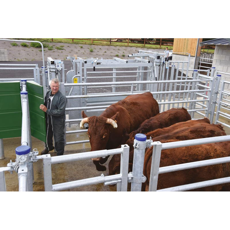 „SECURIPASS“ Torflügel