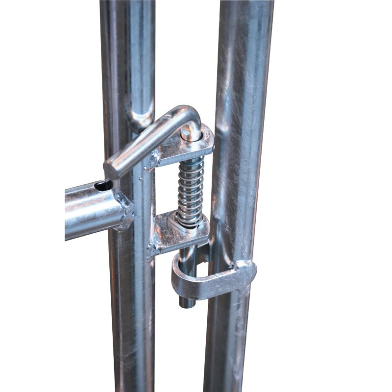 Gruppeniglu mit Umzäunung