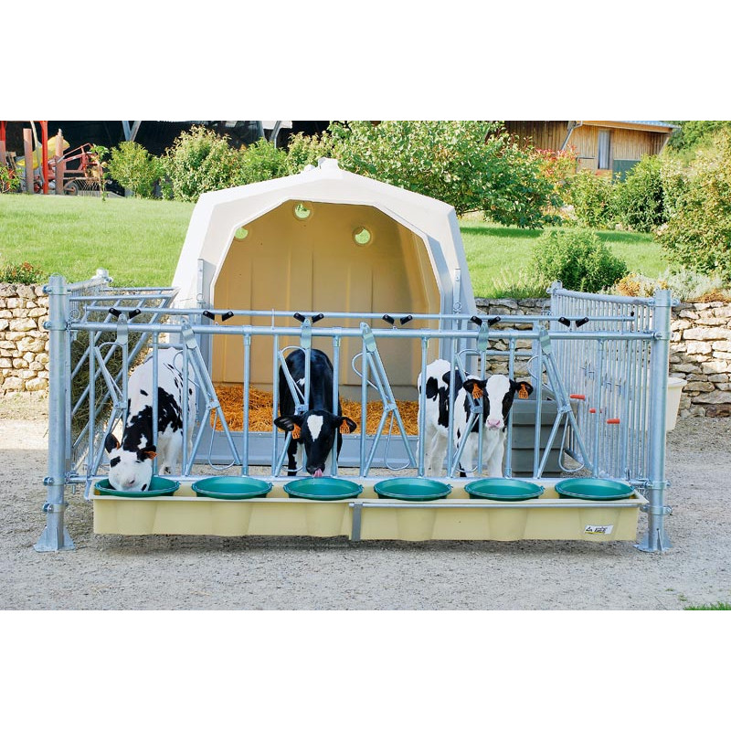 Gruppeniglu mit Umzäunung