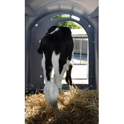 XXL zweischichtiges Kälberiglu XXL zweischichtiges Kälberiglu