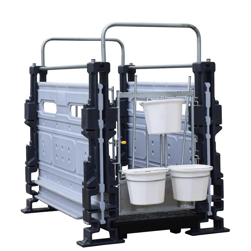 Trennwand für Hygiene Pro Kälberboxen in Reihe