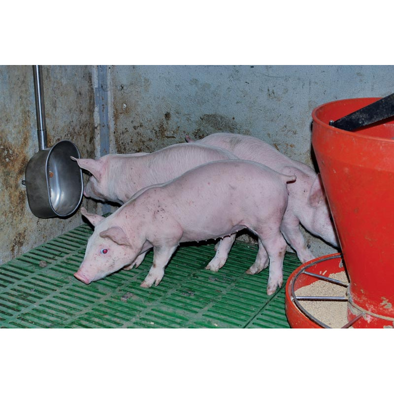 POLYPORC Tränke für Mast 