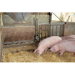 POLYPORC Tränke für Mast 