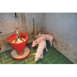 Beißnippel für Schweine „Absetzer“