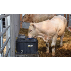 POLYTHERME Tränke mit 1 Ball