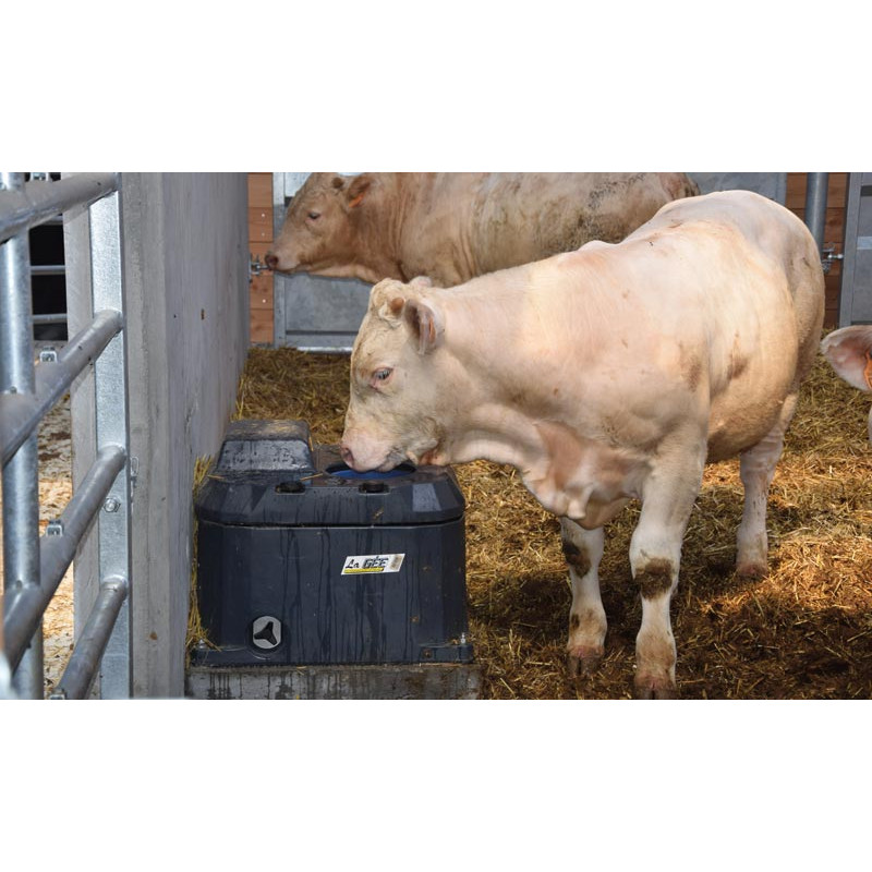 POLYTHERME Tränke mit 1 Ball