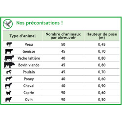 Doppelte Polybac 75 M Tränke mit Vollrand ohne Befestigungsrahmen