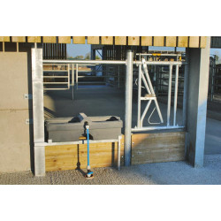 Doppelte 72 M Polybac Tränke mit Innenrand Doppelte 72 M Polybac Tränke mit Innenrand