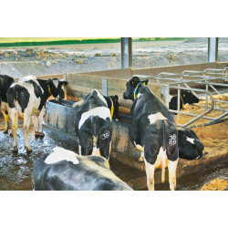 Heizbare POLYMAX Tränke